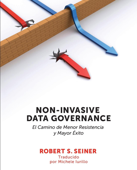 Kniha Non-Invasive Data Governance 