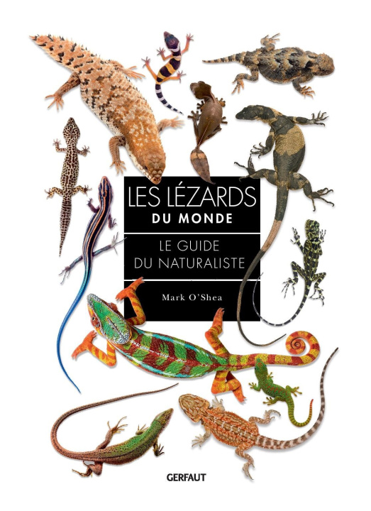Buch Lézards du monde O'shea