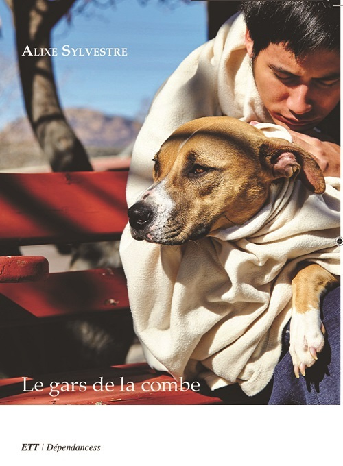 Книга Le gars de la combe Sylvestre