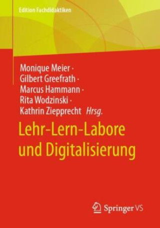 Kniha Lehr-Lern-Labore und Digitalisierung Monique Meier