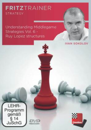 Digital Understanding Middlegame Strategies Vol. 6, DVD-ROM Ivan Sokolov
