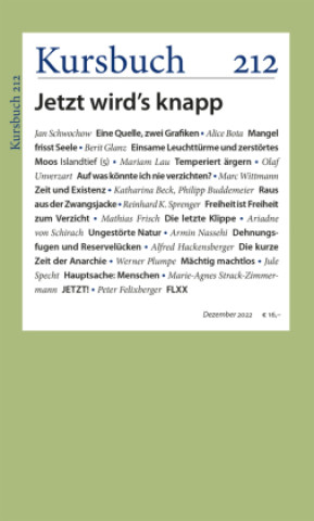 Buch Kursbuch 212 Armin Nassehi