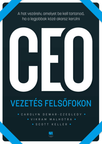 Kniha CEO Vezetés felsőfokon Carolyn Dewar