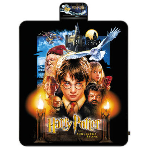 Book Pikniková deka Harry Potter 20 let 