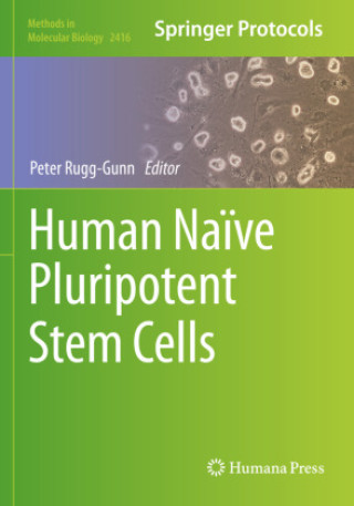 Knjiga Human Naïve Pluripotent Stem Cells Peter Rugg-Gunn
