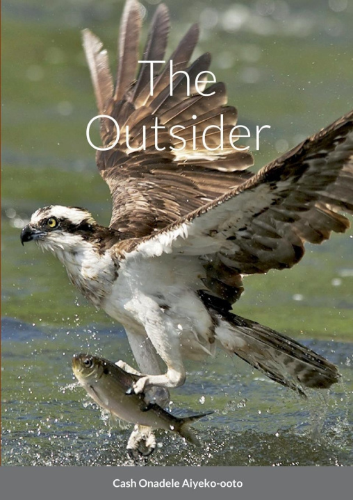 Libro The Outsider Cash Onadele