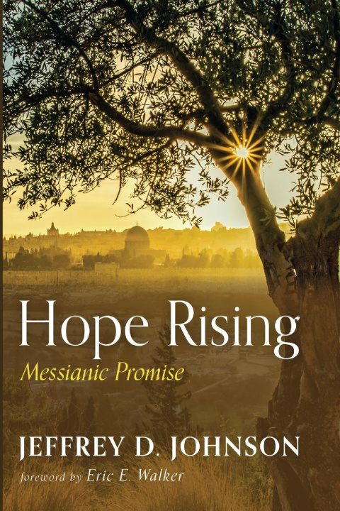 Knjiga Hope Rising Jeffrey D. Johnson