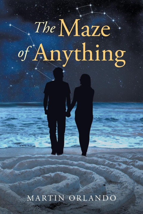 Kniha The Maze of Anything Martin Orlando