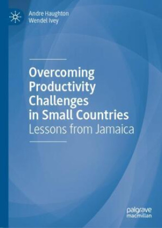 Knjiga Overcoming Productivity Challenges in Small Countries Andre Haughton