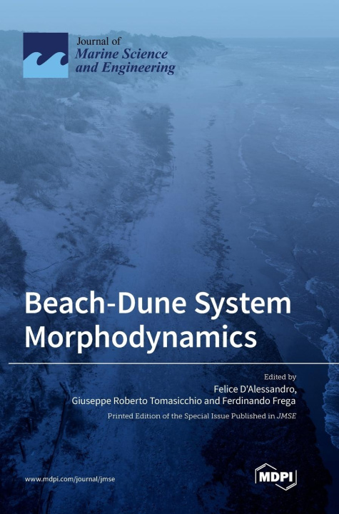 Knjiga Beach-Dune System Morphodynamics Felice D'Alessandro