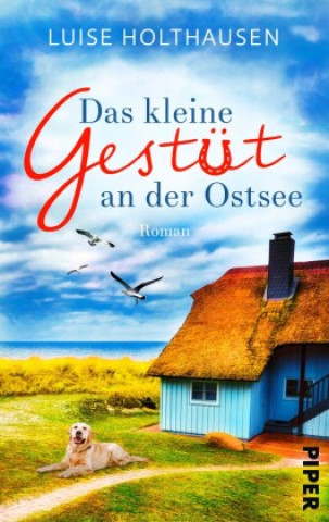 Book Das kleine Gestüt an der Ostsee Luise Holthausen