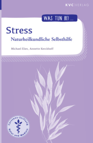 Buch Stress Michael Elies