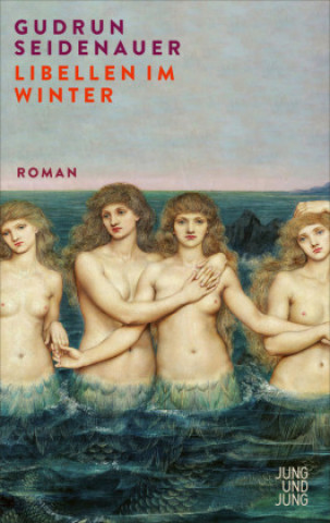 Book Libellen im Winter Gudrun Seidenauer