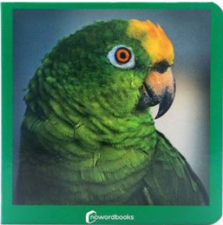 Knjiga Verde 