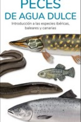 Kniha PECES DE AGUA DULCE - GUIAS DESPLEGABLES TUNDRA VICTOR J. HERNANDEZ