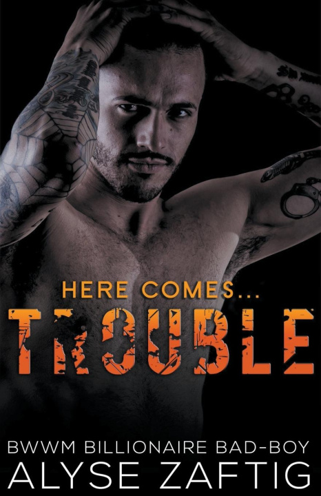 Knjiga Trouble Alyse Zaftig