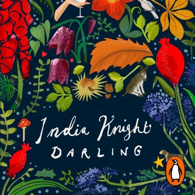 Luisterboek Darling India Knight