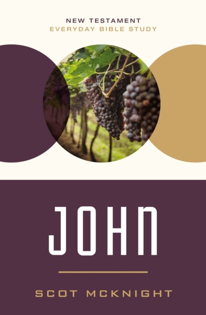 E-knjiga John Scot McKnight