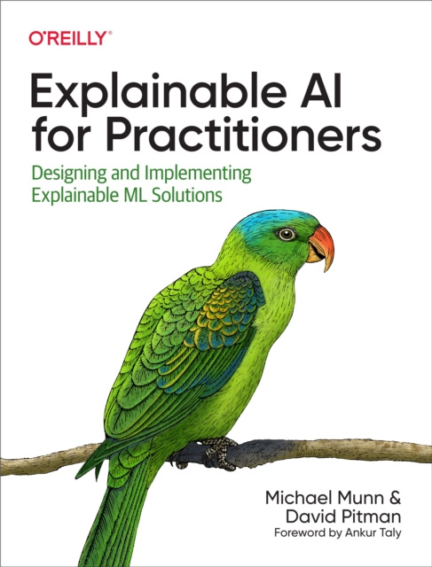E-book Explainable AI for Practitioners Michael Munn