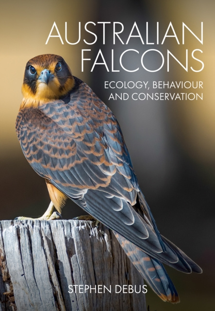E-knjiga Australian Falcons Stephen Debus