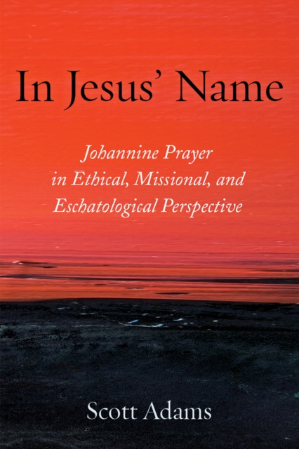E-kniha In Jesus' Name Scott Adams