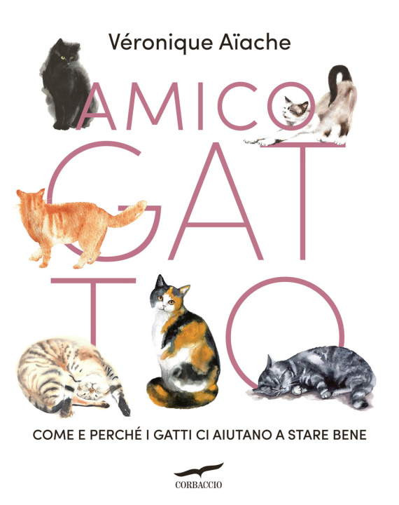 Könyv Amico gatto. Come e perché i gatti ci aiutano a stare bene Véronique Aïache
