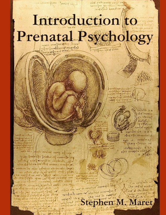 Kniha Introduction to Prenatal Psychology 