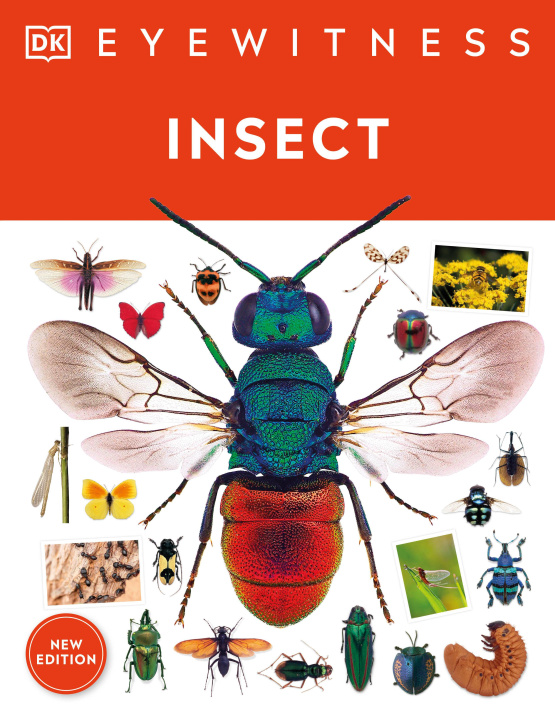 Книга Insect 