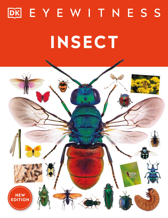 Knjiga Insect DK