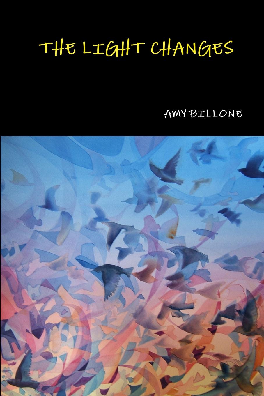 Knjiga The Light Changes Amy Billone
