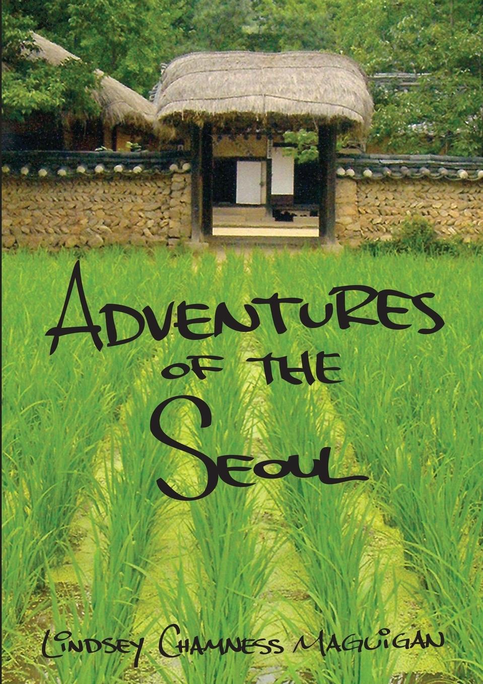 Knjiga Adventures of the Seoul Lindsey Chamness Maguigan