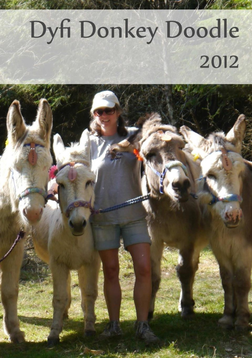 Knjiga Dyfi Donkey Doodle 2012 Dyfi Donkeys