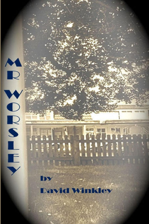 Boek Mr Worsley David Winkley