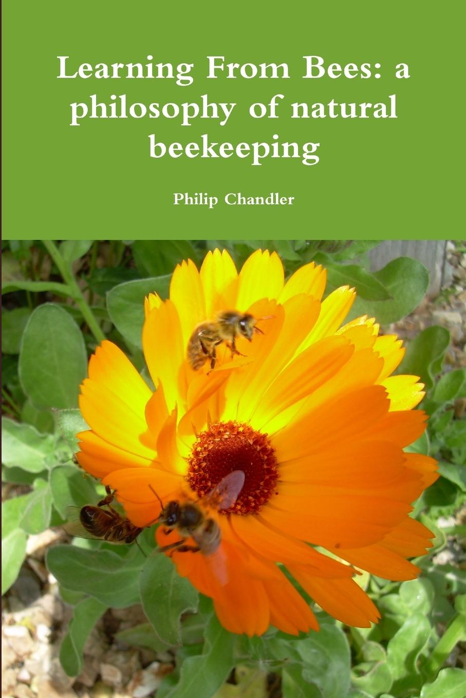 Book Learning From Bees Philip Chandler