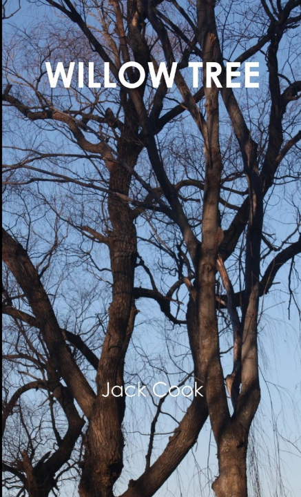 Book WILLOW TREE Jack Cook