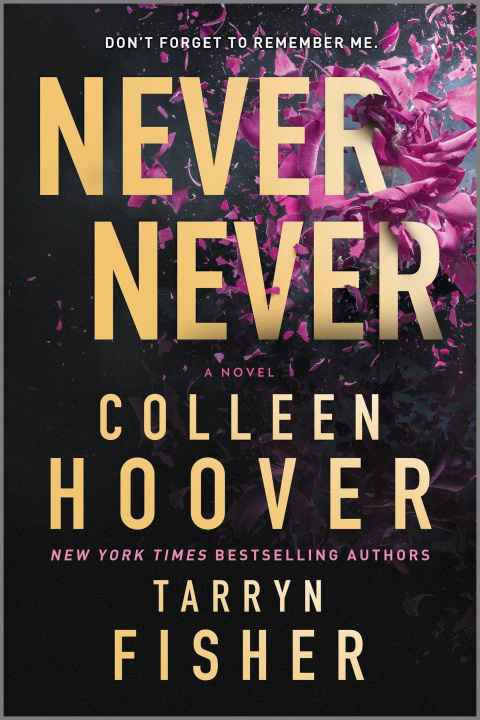Kniha Never Never: A Twisty, Angsty Romance Tarryn Fisher