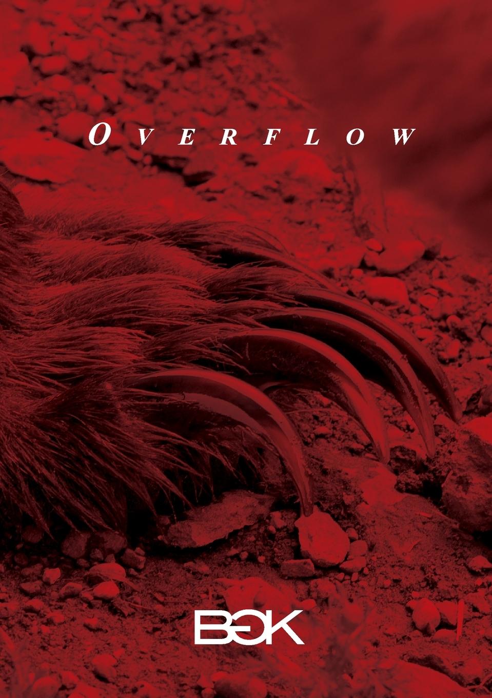 Knjiga Overflow BGK