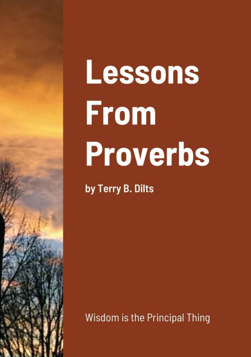 Knjiga Lessons From Proverbs TERRY DILTS