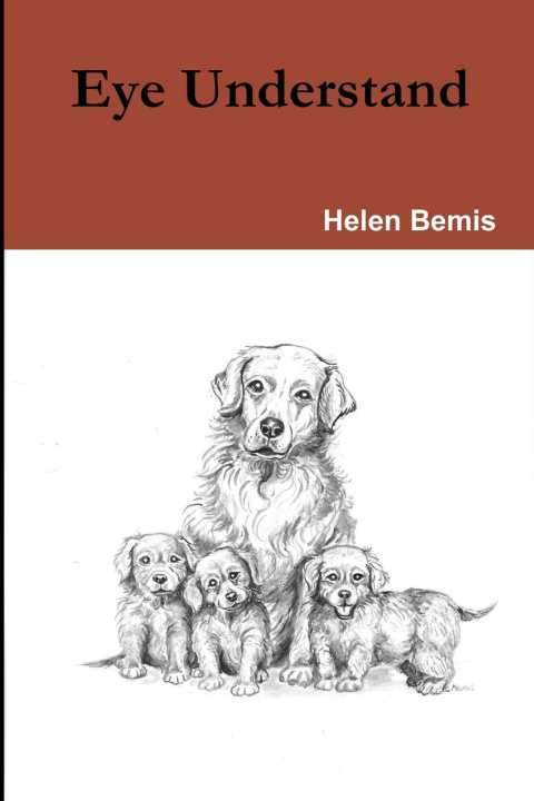 Knjiga Eye Understand Helen Bemis