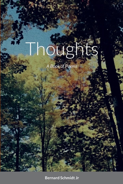 Knjiga Thoughts Bernard Schmidt Jr