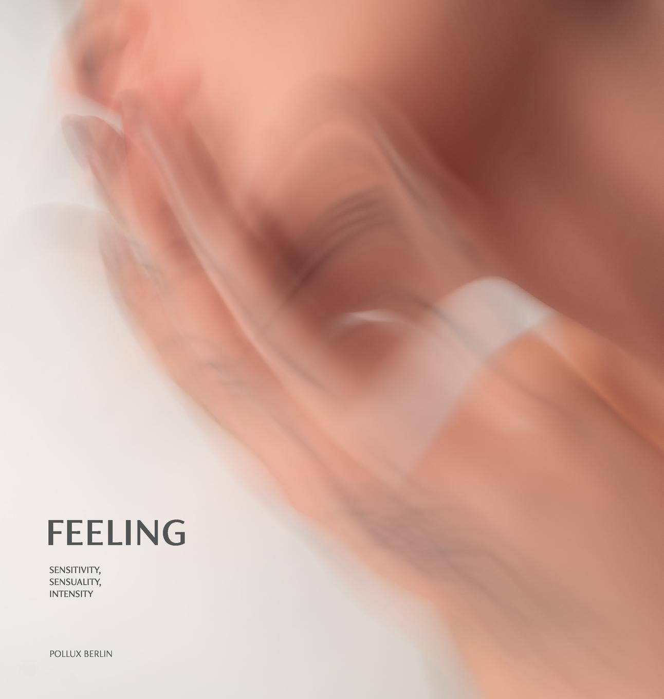 Knjiga Feeling Pollux Berlin