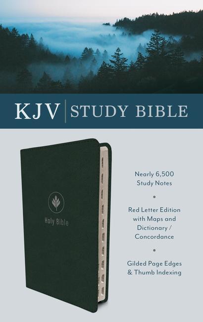 Kniha The KJV Study Bible, Indexed (Evergreen Fog) 