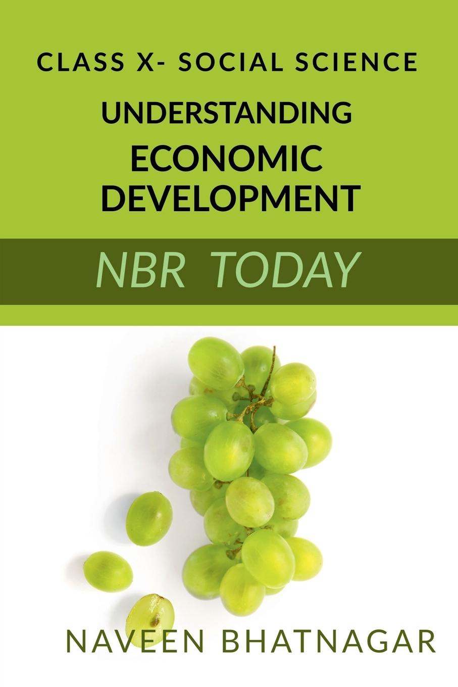 Knjiga Class X Understanding Economic Development Naveen Bhatnagar