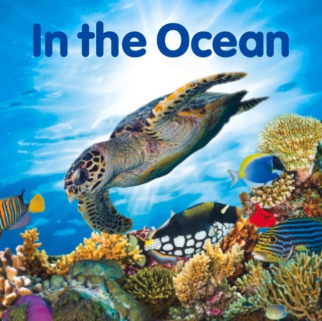 Kniha In the Ocean 