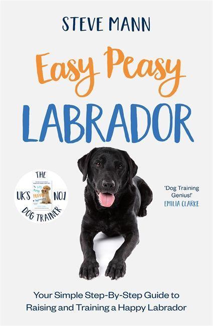 Könyv Easy Peasy Labrador 