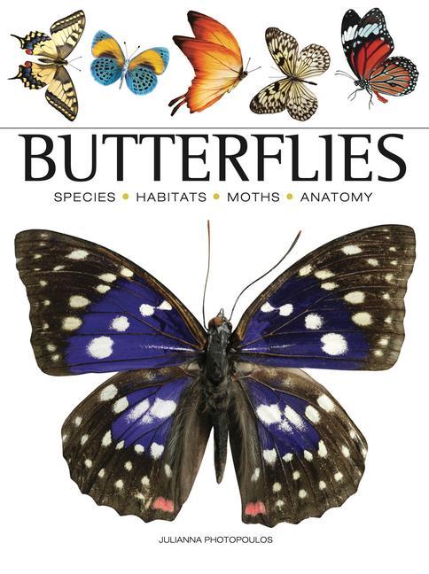 Livre Butterflies 