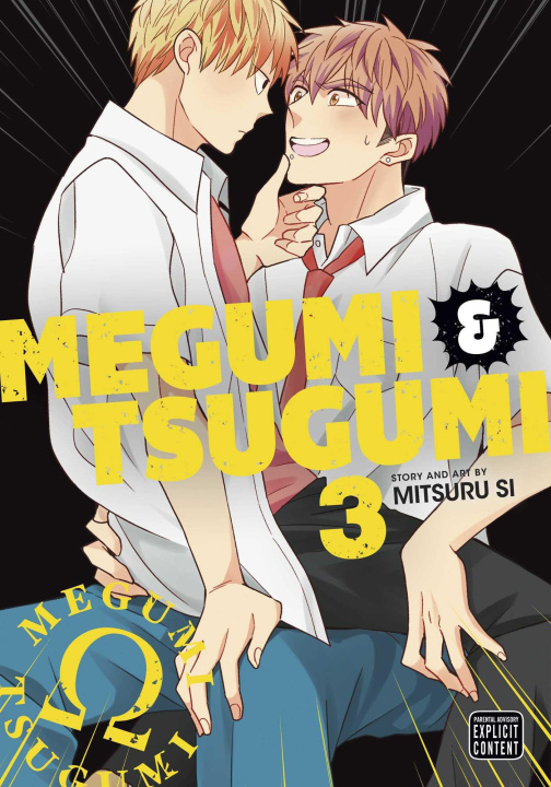 Книга Megumi & Tsugumi, Vol. 3 