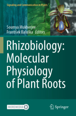 Könyv Rhizobiology: Molecular Physiology of Plant Roots Soumya Mukherjee