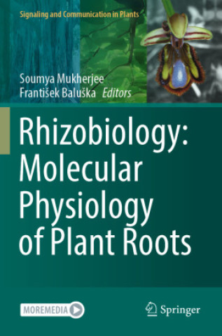 Libro Rhizobiology: Molecular Physiology of Plant Roots Soumya Mukherjee