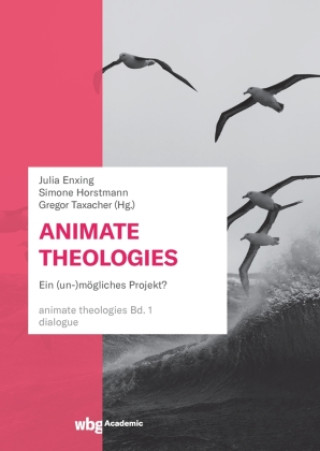 Book Animate Theologies Simone Horstmann